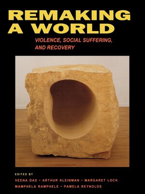 cover image of Remaking a World